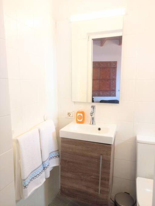 Estudio Don Antonio En El Centro De La Laguna La Laguna  Ngoại thất bức ảnh